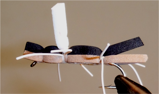 Chernobyl Ant – Black