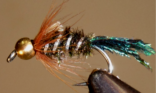 Zug Bug