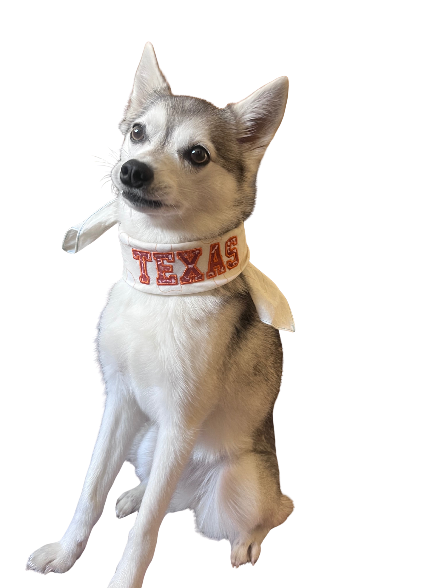 Fan Bandana