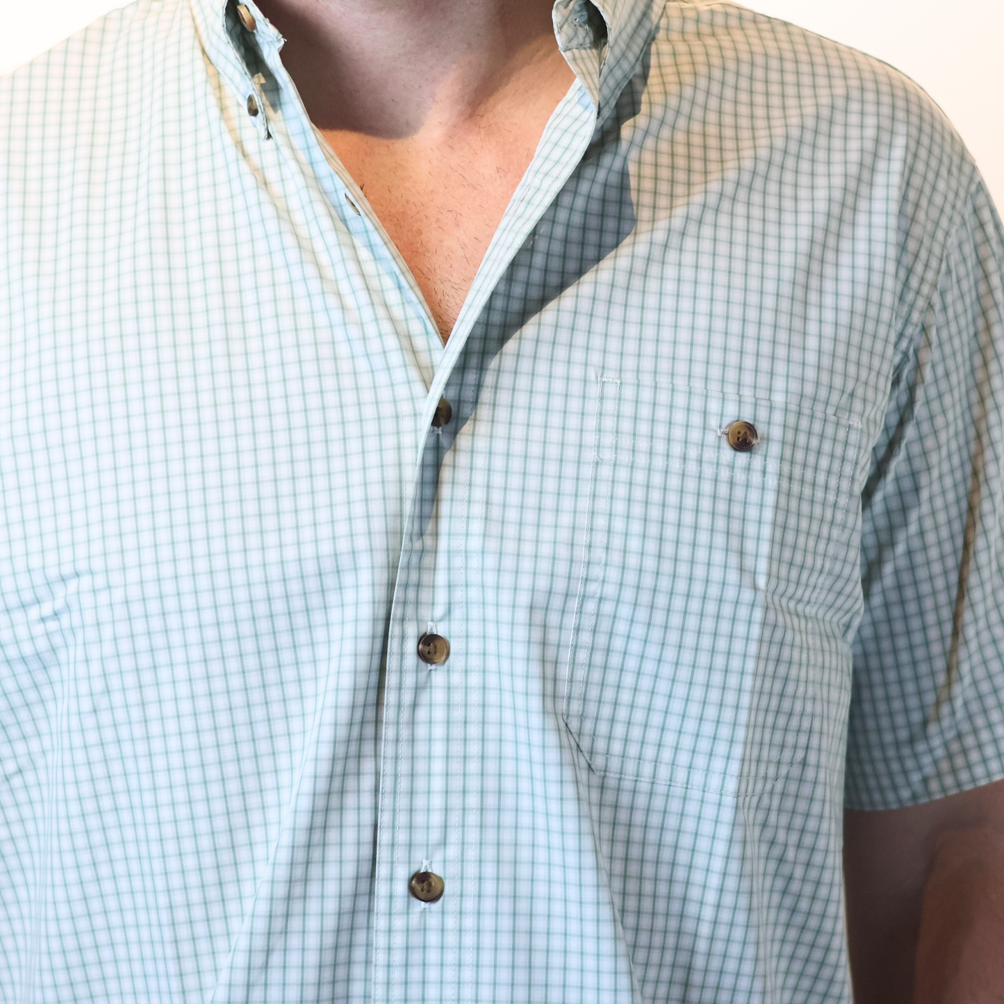 Western Button Down