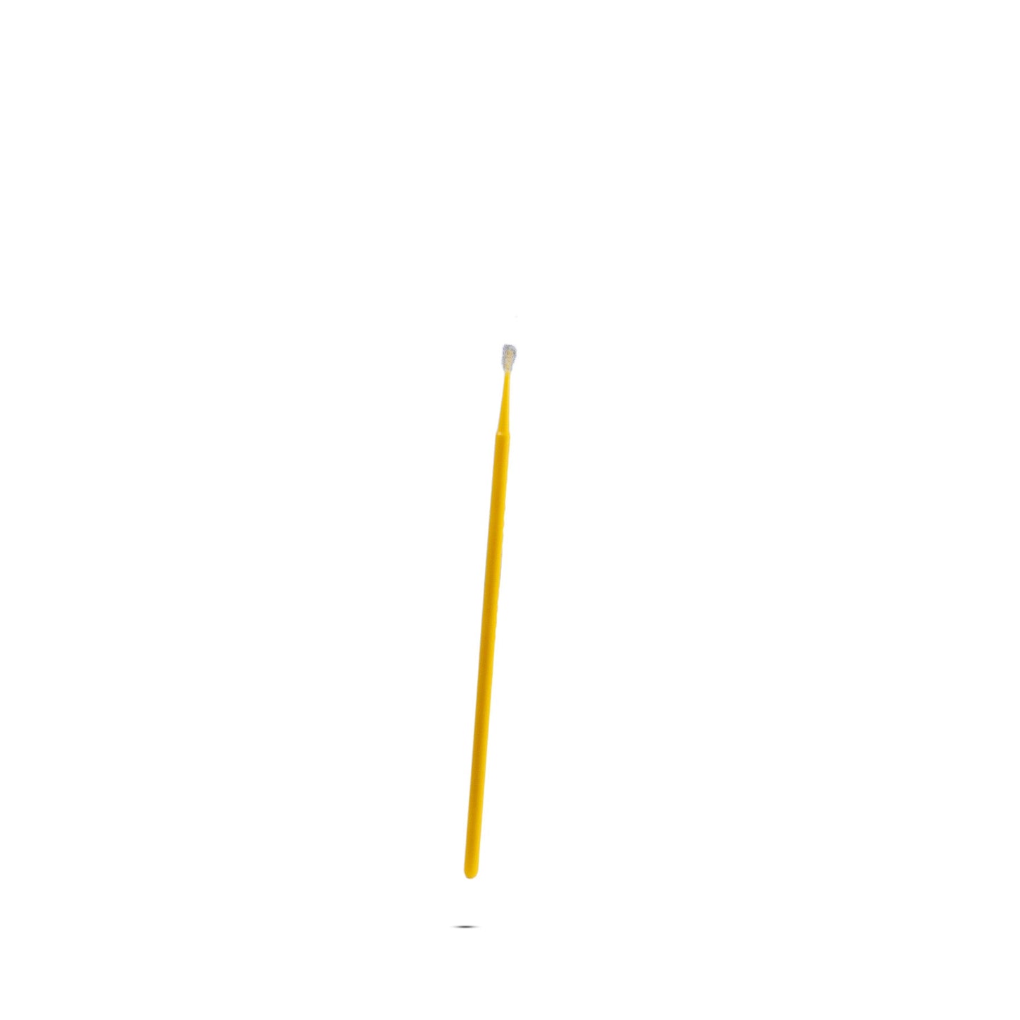Paint Repair Kit