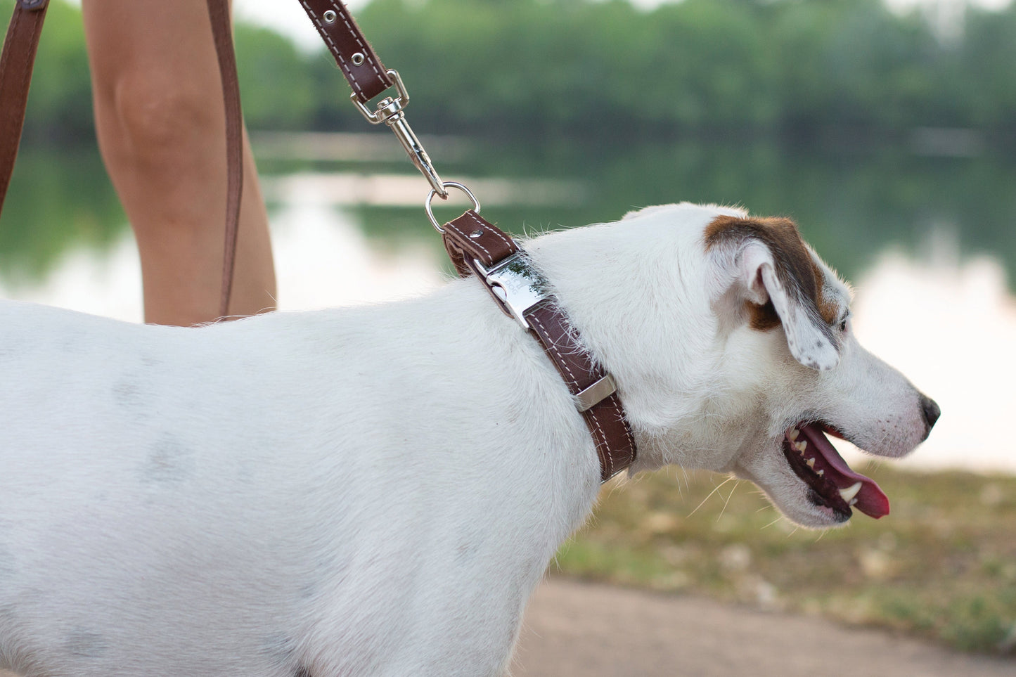 Pro Line Hunting Chocolate Leather Leash