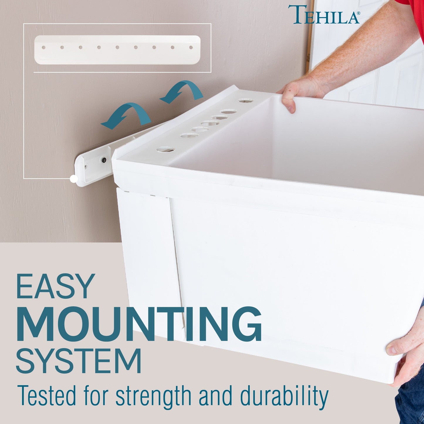 Tehila Standard Wall-Mounted White Utility Sink, No Supply Lines