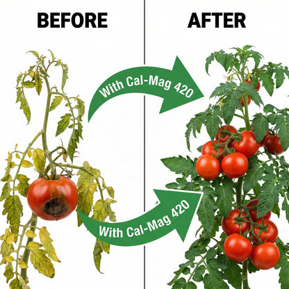 Cal-Mag Extreme – Advanced Calcium, Magnesium &amp; Micronutrient Supplement for Plants – Strengthens Cell Walls, Prevents Deficiencies &amp; Promotes Vigorous Growth – For All Plants, Lawns & Gardens