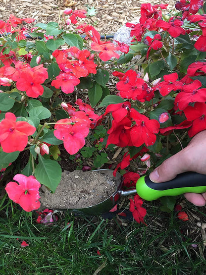 Stainless Steel Garden Scoop Trowel
