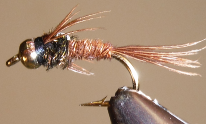 Pheasant Tail - Flashback