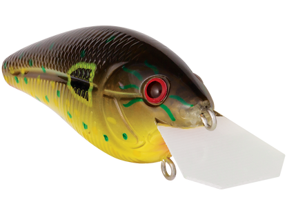 Primetyme CB 1.5
