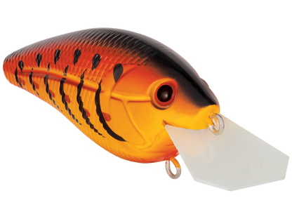 Primetyme CB 1.5
