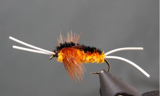 Bitch Creek Stonefly