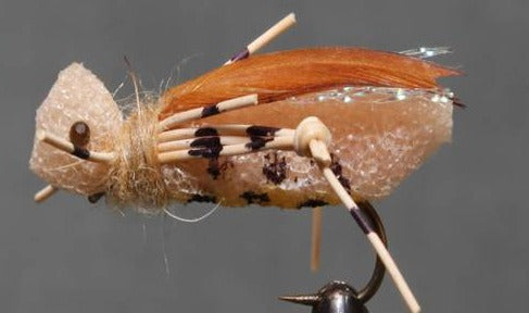 Hopper – Leopard Foam