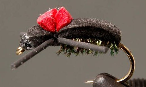 Beetle - Black Foam - Red Top