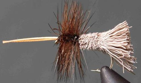 Caddis – Goddard
