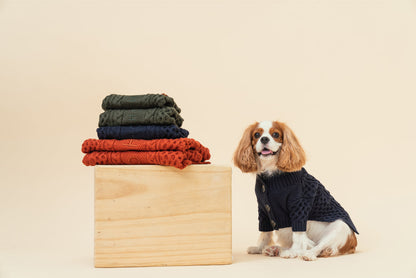 BERT CARDIGAN SWEATER - DARK GREEN