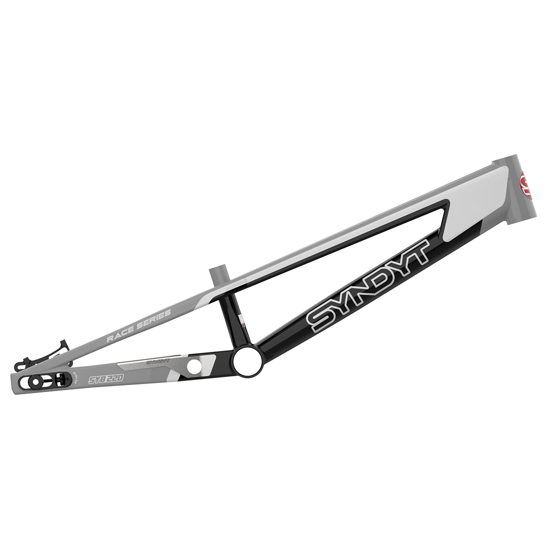 SYB 220: 22” TT Pro 3XL BMX Frame