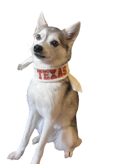 Fan Bandana