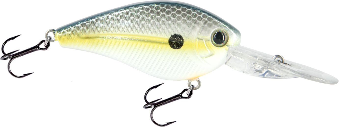 FlatMaster