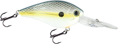 FlatMaster