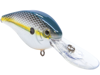 FlatMaster