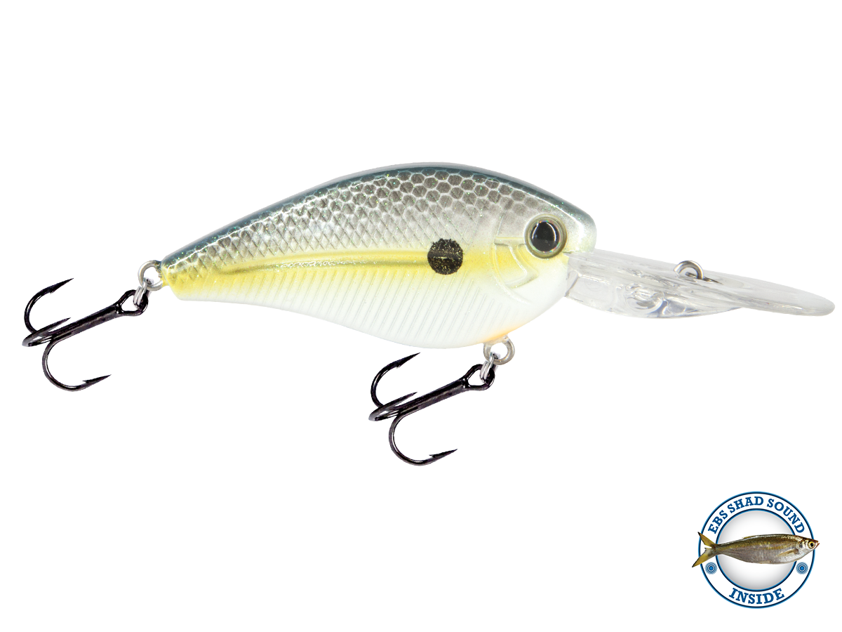 FlatMaster