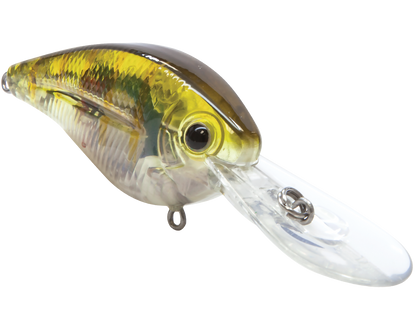 FlatMaster