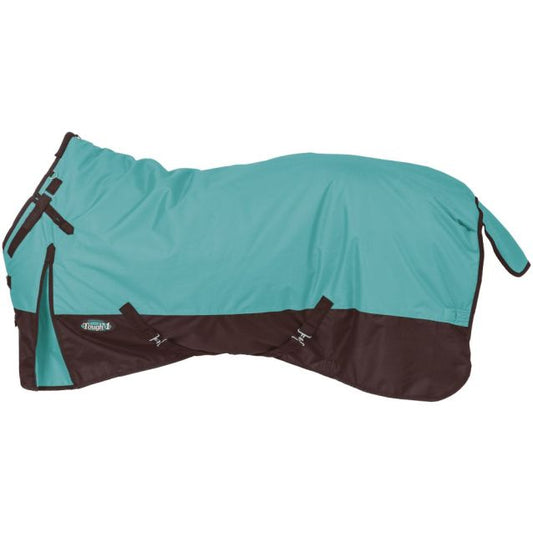 Turquoise Pony Blanket