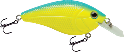 Primetyme CB 1.5