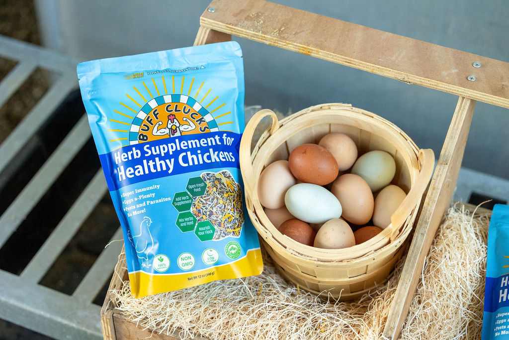 Herb Supplement For Backyard Chickens