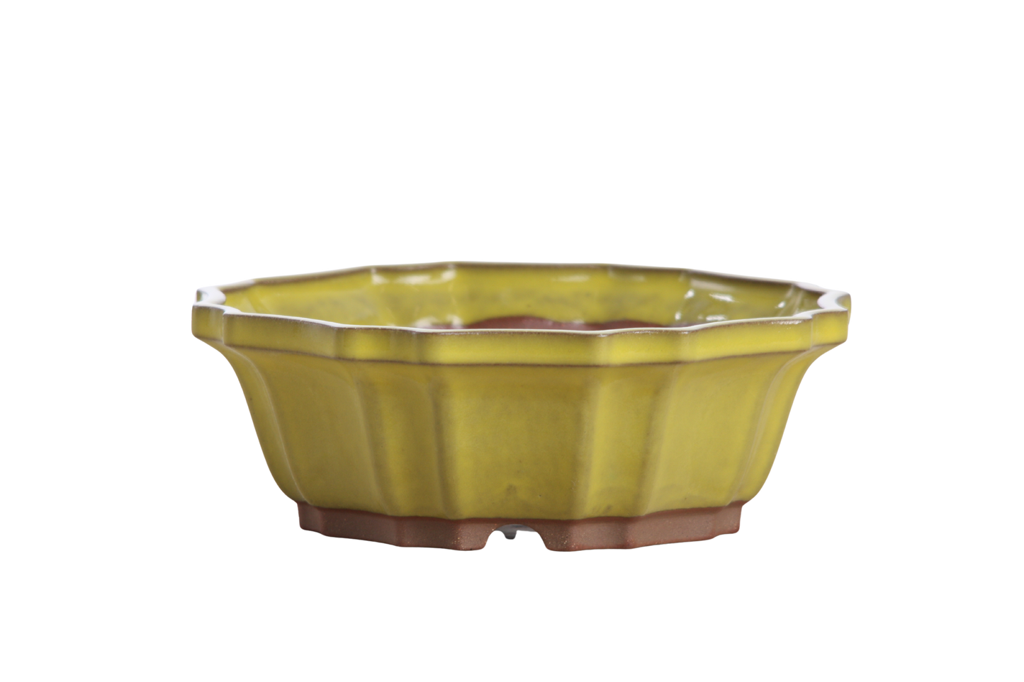 Willow Bonsai Ceramics Flower Design Bonsai Pot 6.5 Inch – Elegant Ceramic Bonsai & Succulent Planter, High‑Fired Frost‑Proof Stoneware with Drainage & Wiring Holes, Handmade in USA (Yellow)