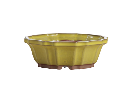Willow Bonsai Ceramics Flower Design Bonsai Pot 6.5 Inch – Elegant Ceramic Bonsai & Succulent Planter, High‑Fired Frost‑Proof Stoneware with Drainage & Wiring Holes, Handmade in USA (Yellow)