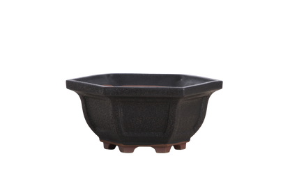 Willow Bonsai Ceramics Hexagonal Windowed Bonsai Pot 5 Inch – Semi‑Cascade Planter, High‑Fired Frost‑Proof Stoneware with Drainage & Wiring Holes, Handmade in USA (Matt Black)