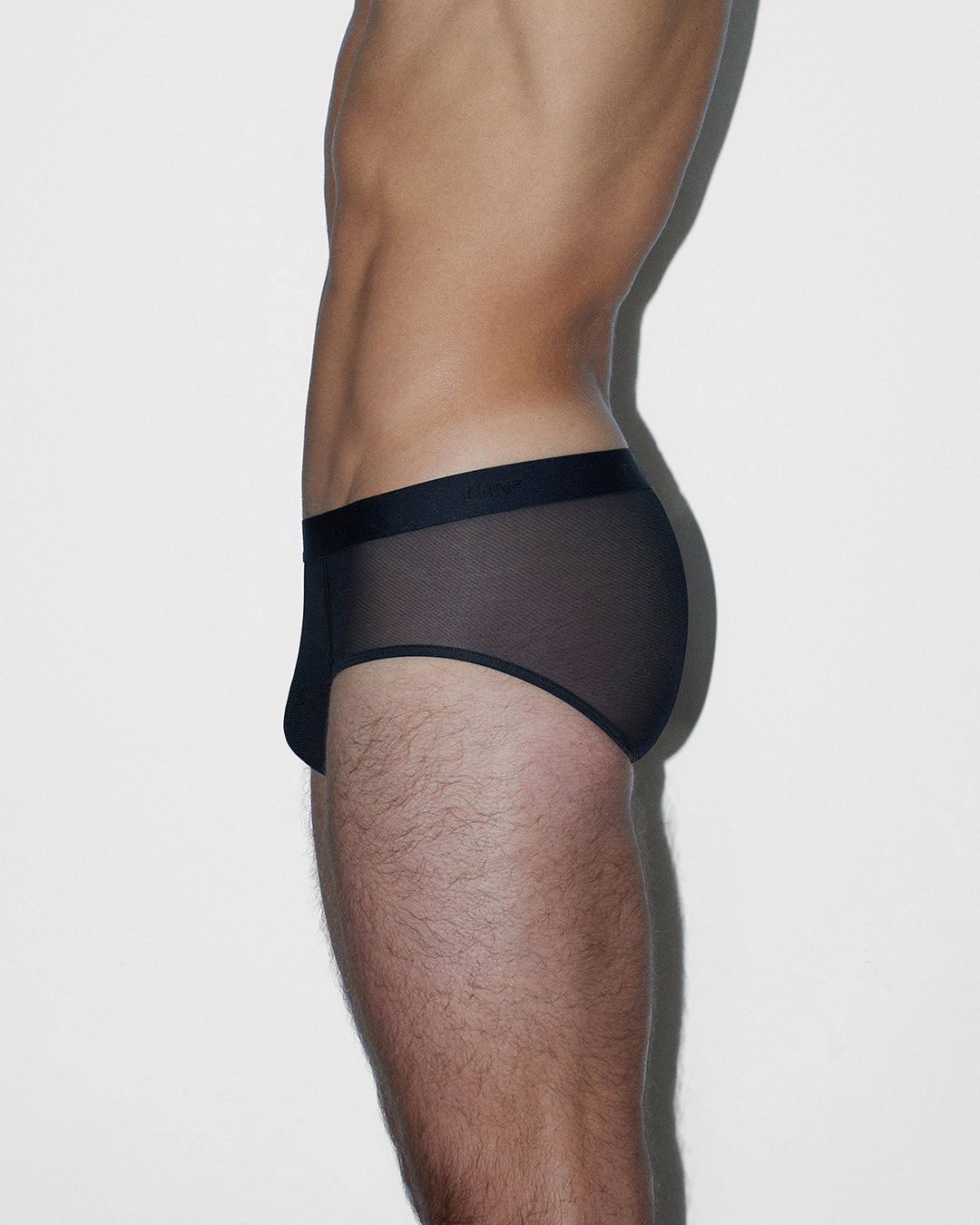 Sheer Fly Front Brief Black