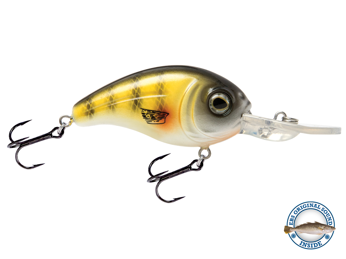 Dive Master Jr 8