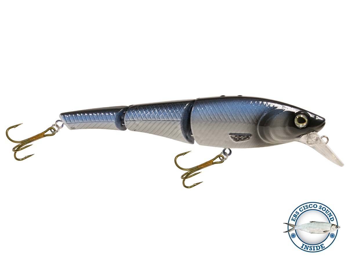 Head Hunter 8"