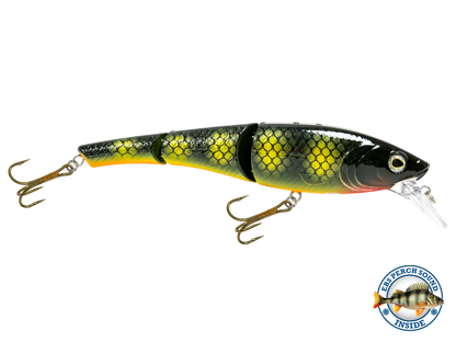 Head Hunter 8"