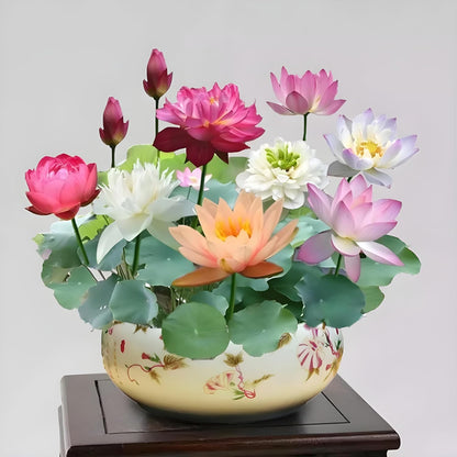 Lotus Flower Seeds – Stunning Resilient Blooms for Gardening