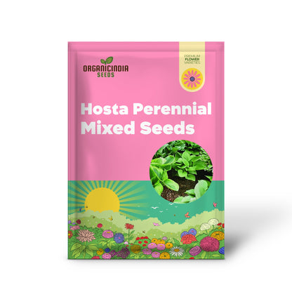 Mixed Hosta Perennials, Hardy Bare Root Shade Plants for Lush Gardens