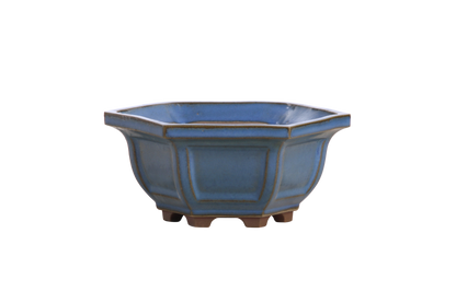Willow Bonsai Ceramics Hexagonal Windowed Bonsai Pot 5 Inch – Semi‑Cascade Planter, High‑Fired Frost‑Proof Stoneware with Drainage & Wiring Holes, Handmade in USA (Peacock 2023)