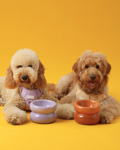 Soufflé Pet Bowl - Purple