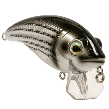 Bull Nose