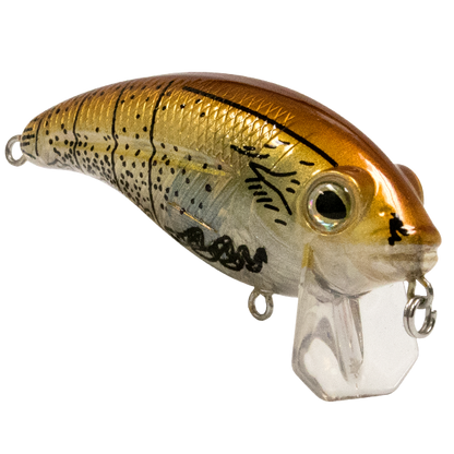 Bull Nose