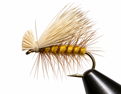 Caddis - Elk Hair