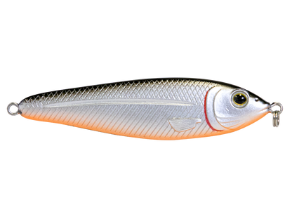 EBS Jigging Spoon