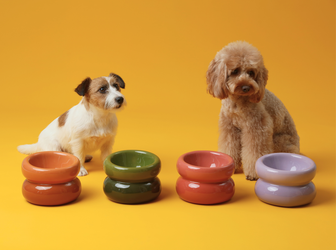 Soufflé Pet Bowl - Purple