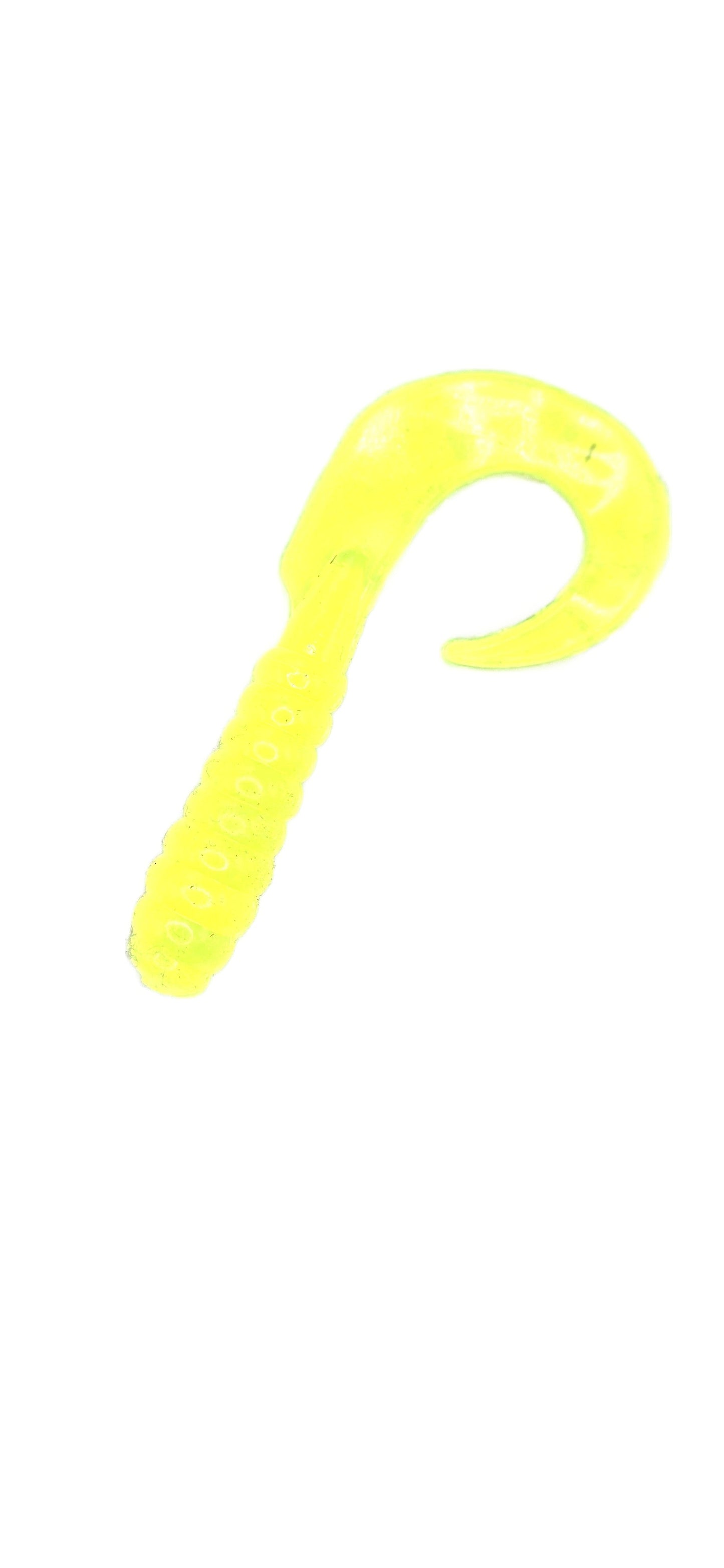 Single Tail Grub