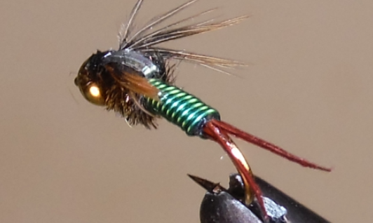 Copper John