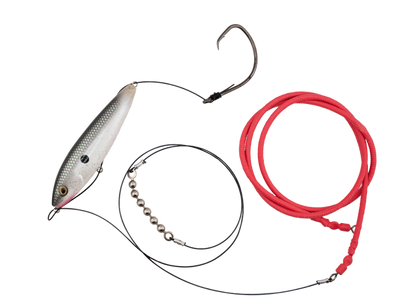 Gatto Loco Catfish Rig