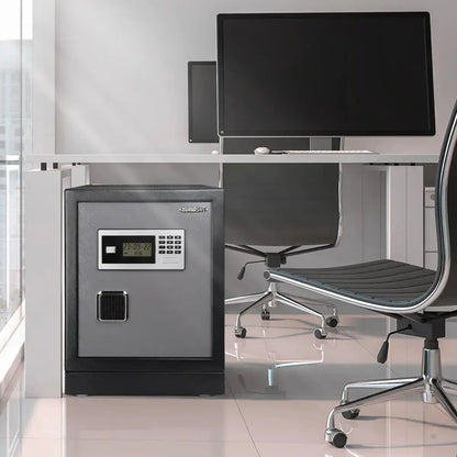 Datasavior Spacious Home Office Safe