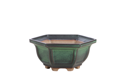 Willow Bonsai Ceramics Hexagonal Windowed Bonsai Pot 5 Inch – Semi‑Cascade Planter, High‑Fired Frost‑Proof Stoneware with Drainage & Wiring Holes, Handmade in USA (Avocado)