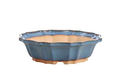 Willow Bonsai Ceramics Flower Design Bonsai Pot 10 Inch – Elegant Ceramic Bonsai & Succulent Planter, High‑Fired Frost‑Proof Stoneware with Drainage & Wiring Holes, Handmade in USA (Peacock 2025)
