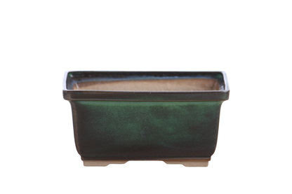 Willow Bonsai Ceramics Rectangle Deep Bonsai Pot 6 Inch – Higher‑Profile Rectangular Ceramic Bonsai & Succulent Planter with Accentuated Rim, High‑Fired Frost‑Proof Stoneware, Handmade in USA (Avocado)